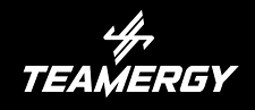 TEAMERGY