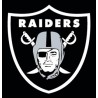 RAIDER
